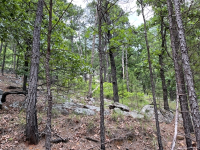 Hunting land for sale in Daisy, OK - image 38