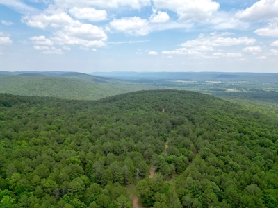 Hunting land for sale in Daisy, OK - image 15