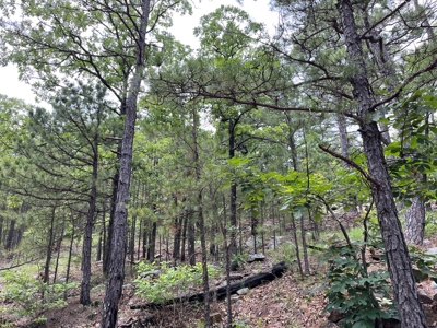 Hunting land for sale in Daisy, OK - image 36