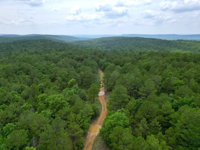 Hunting land for sale in Daisy, OK - image 16