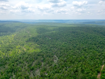 Hunting land for sale in Daisy, OK - image 13