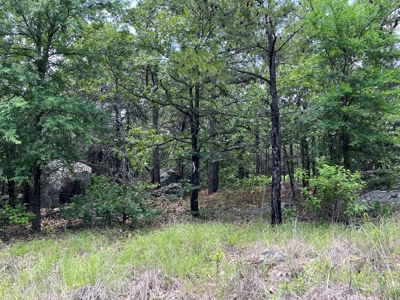Hunting land for sale in Daisy, OK - image 30