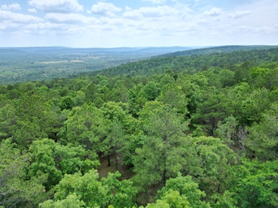 Hunting land for sale in Daisy, OK - image 19