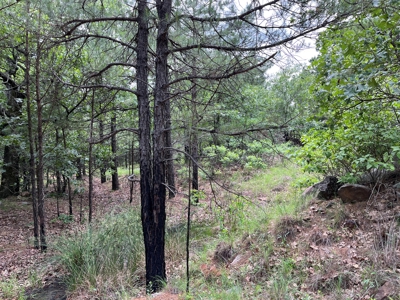 Hunting land for sale in Daisy, OK - image 27