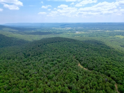 Hunting land for sale in Daisy, OK - image 5