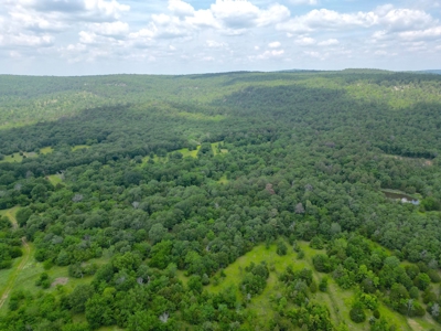 Hunting land for sale in Daisy, OK - image 2