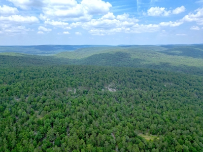 Hunting land for sale in Daisy, OK - image 9