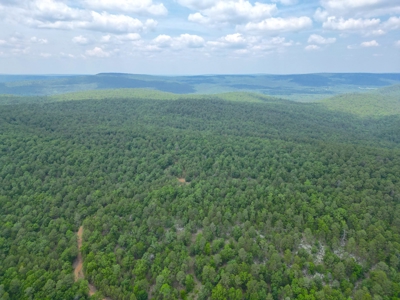 Hunting land for sale in Daisy, OK - image 11
