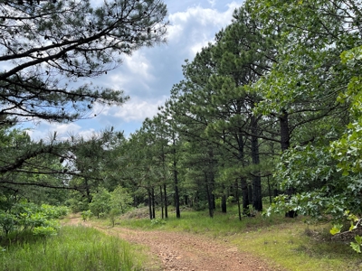 Hunting land for sale in Daisy, OK - image 33