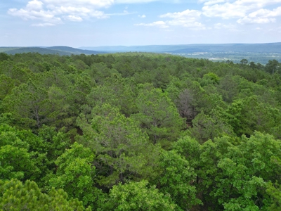 Hunting land for sale in Daisy, OK - image 18