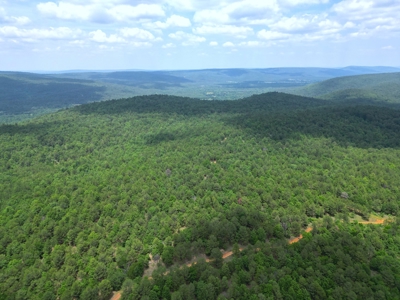 Hunting land for sale in Daisy, OK - image 4