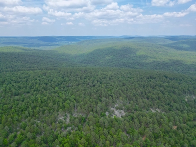 Hunting land for sale in Daisy, OK - image 10