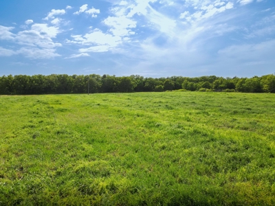 Land For Sale Bowie Montague County Texas Farm Ranch - image 14