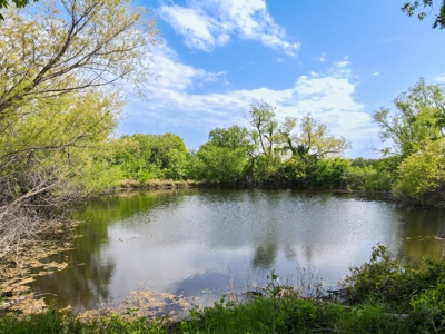 Land For Sale Bowie Montague County Texas Farm Ranch - image 2