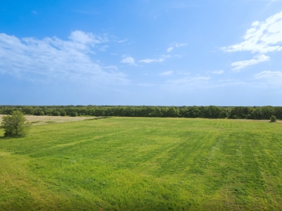 Land For Sale Bowie Montague County Texas Farm Ranch - image 3
