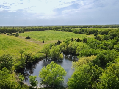 Land For Sale Bowie Montague County Texas Farm Ranch - image 9