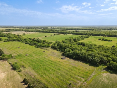 Land For Sale Bowie Montague County Texas Farm Ranch - image 13