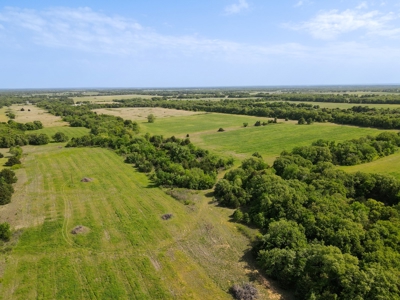 Land For Sale Bowie Montague County Texas Farm Ranch - image 12