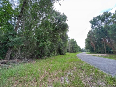 Spanish Trace Subdivision - Chiefland Florida - Levy County - image 1