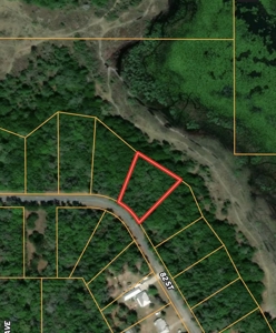 Spanish Trace Subdivision - Chiefland Florida - Levy County - image 6