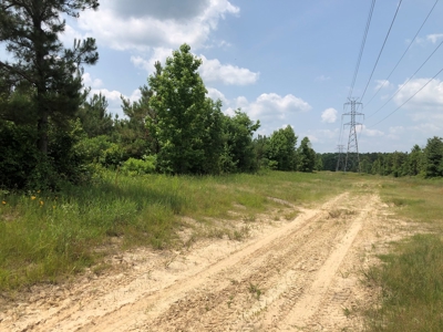 Land for Sale - Jefferson County, AR! - image 5