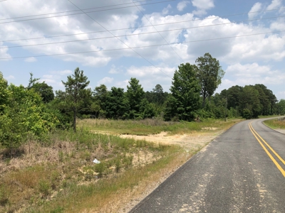 Land for Sale - Jefferson County, AR! - image 3
