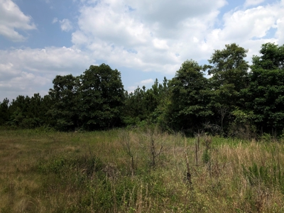 Land for Sale - Jefferson County, AR! - image 1