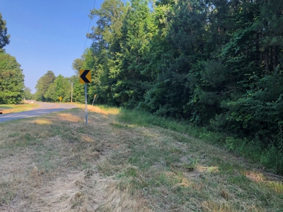Land for Sale - Cleveland County, AR!! - image 4