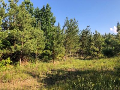 Land for Sale - Cleveland County, AR!! - image 1