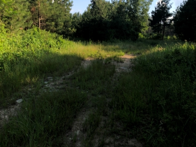 Land for Sale - Cleveland County, AR!! - image 5