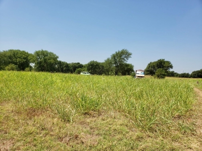 Land For Sale Near Texola, Oklahoma - image 14