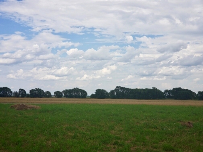 Land For Sale Near Texola, Oklahoma - image 8