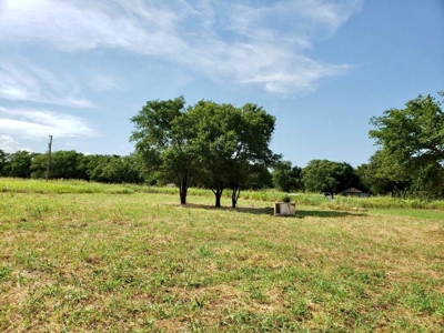 Land For Sale Near Texola, Oklahoma - image 6