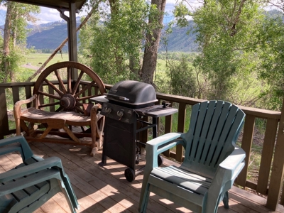 Land For Sale, Mountain Property, Ridgway, Colorado - image 9