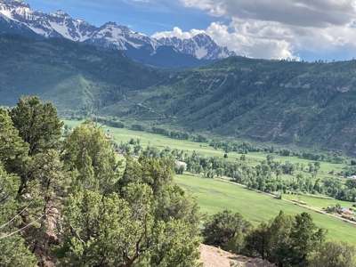 Land For Sale, Mountain Property, Ridgway, Colorado - image 18