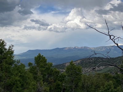 Land For Sale, Mountain Property, Ridgway, Colorado - image 23