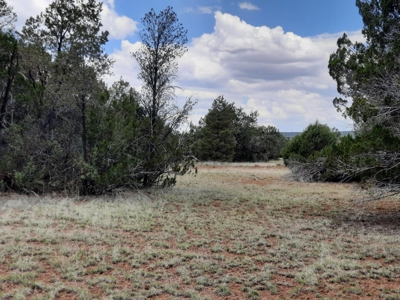 Gorgeous 43.9 Acre Off Grid Property In Northern Az ! - image 6