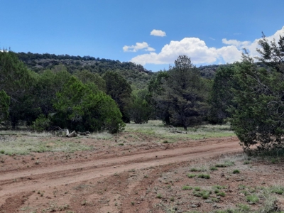 Gorgeous 43.9 Acre Off Grid Property In Northern Az ! - image 7