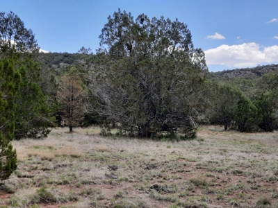 Gorgeous 43.9 Acre Off Grid Property In Northern Az !