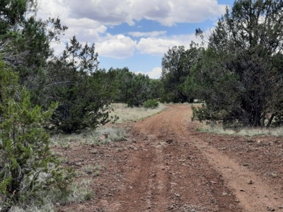 Gorgeous 43.9 Acre Off Grid Property In Northern Az ! - image 10