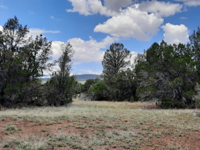 Gorgeous 43.9 Acre Off Grid Property In Northern Az ! - image 3