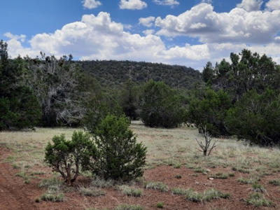 Gorgeous 43.9 Acre Off Grid Property In Northern Az ! - image 11