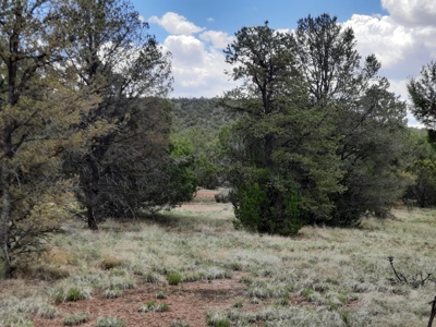 Gorgeous 43.9 Acre Off Grid Property In Northern Az ! - image 4