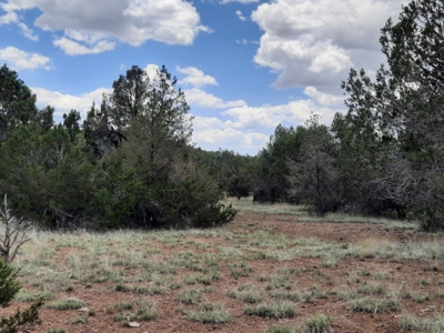 Gorgeous 43.9 Acre Off Grid Property In Northern Az ! - image 12
