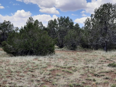 Gorgeous 43.9 Acre Off Grid Property In Northern Az ! - image 8
