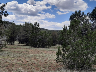 Gorgeous 43.9 Acre Off Grid Property In Northern Az ! - image 9