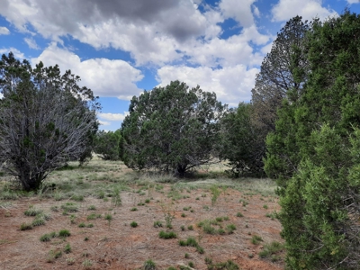 Gorgeous 43.9 Acre Off Grid Property In Northern Az ! - image 2