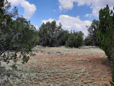 Gorgeous 43.9 Acre Off Grid Property In Northern Az ! - image 5