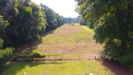 Investor Special: Charming Farmhouse in Lumberton, TX - image 19