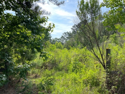 Investor Special: Charming Farmhouse in Lumberton, TX - image 28